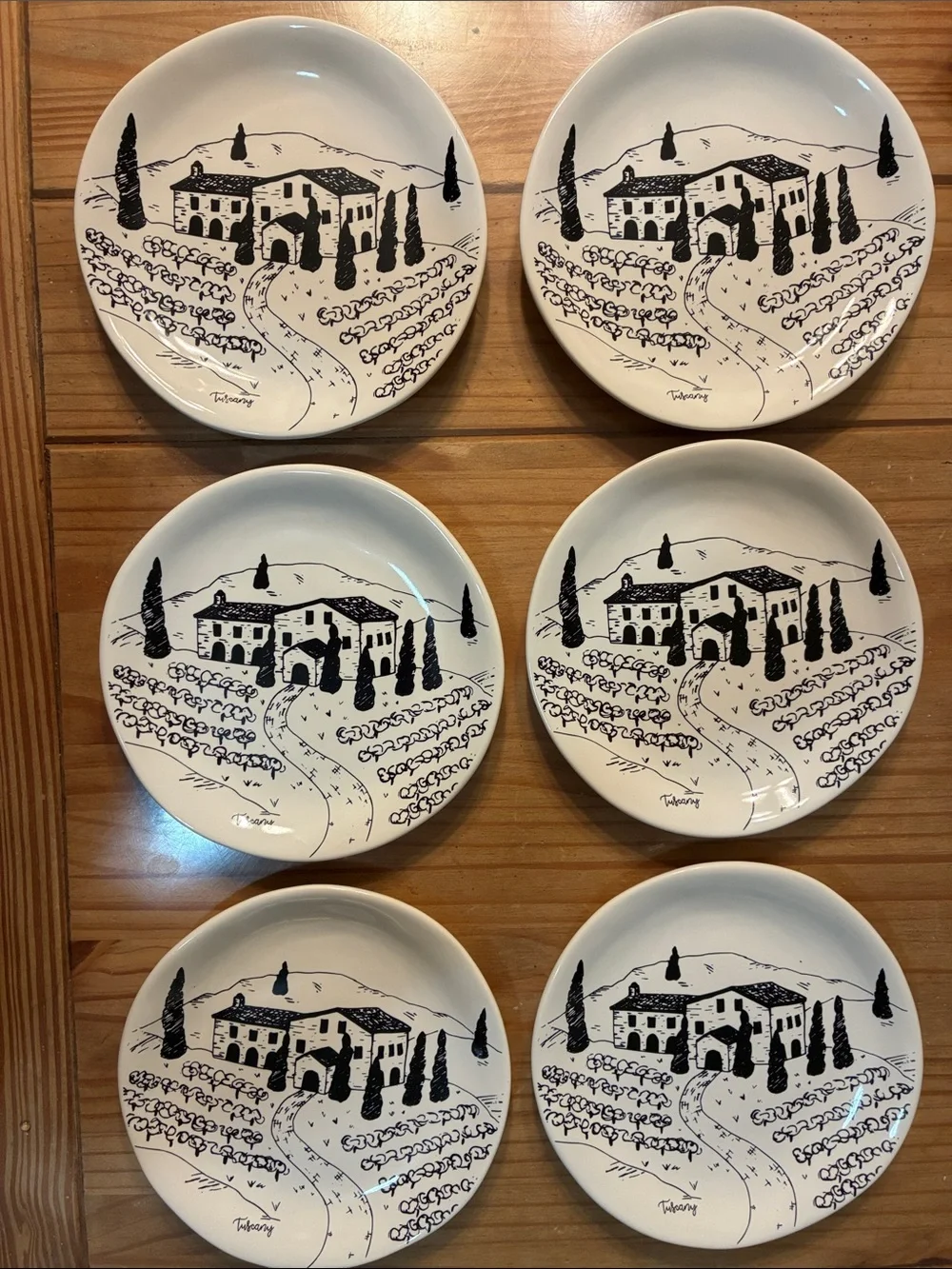 Pier 1 Tuscany Scene Plates Set of 6